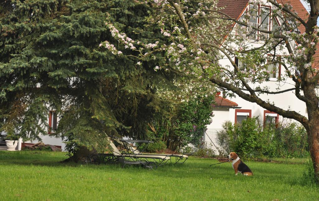 Haeuser Der Villa Italia Marktheidenfeld Buitenkant foto